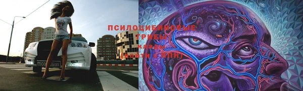 бутират Мегион