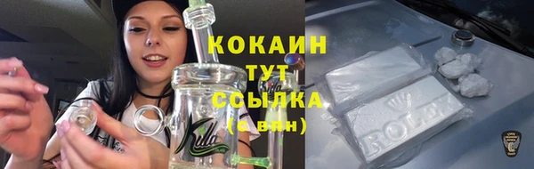 бутират Мегион