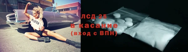 шишки Медногорск