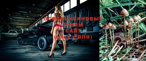шишки Медногорск