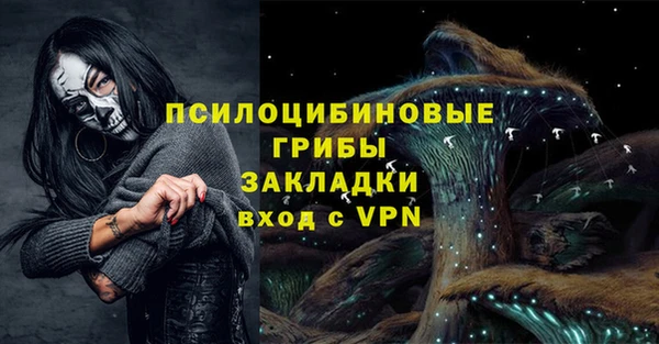 трава Магас