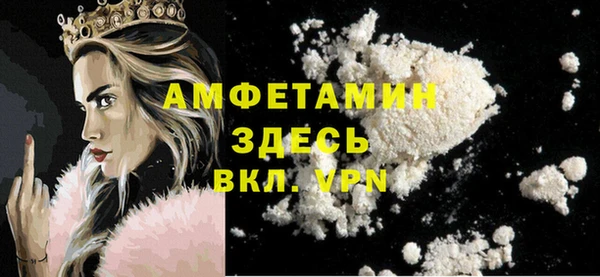 шишки Медногорск