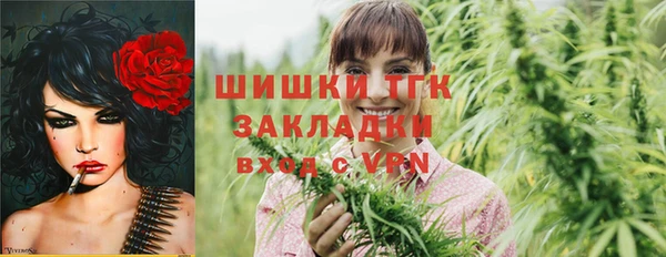 трава Магас