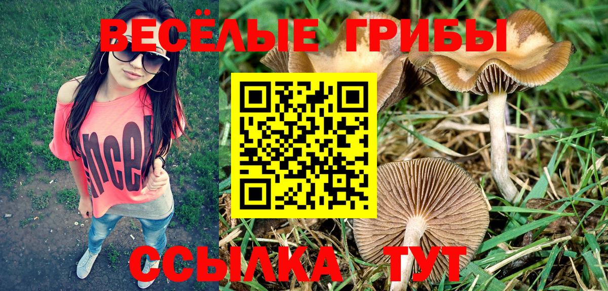 Галлюциногенные грибы прущие грибы Нововоронеж