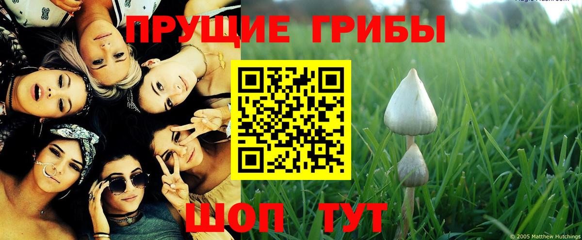 Галлюциногенные грибы мухоморы  Нововоронеж 